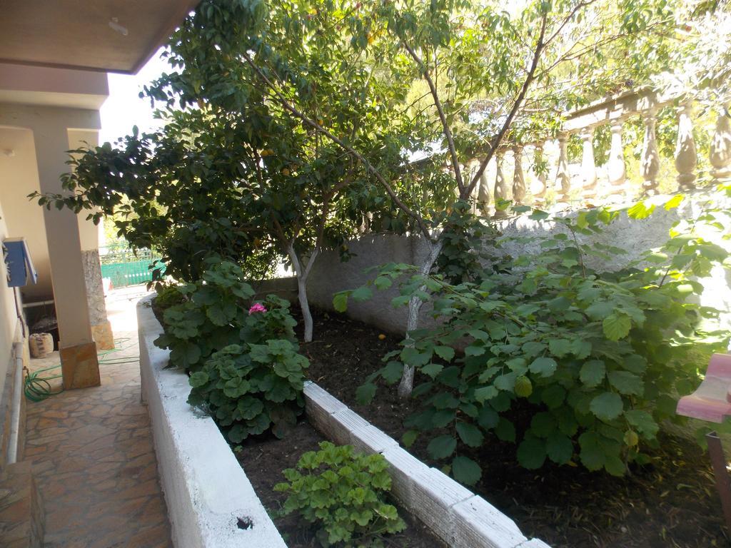 Guest House Vila Bega ซารานเดอ ภายนอก รูปภาพ